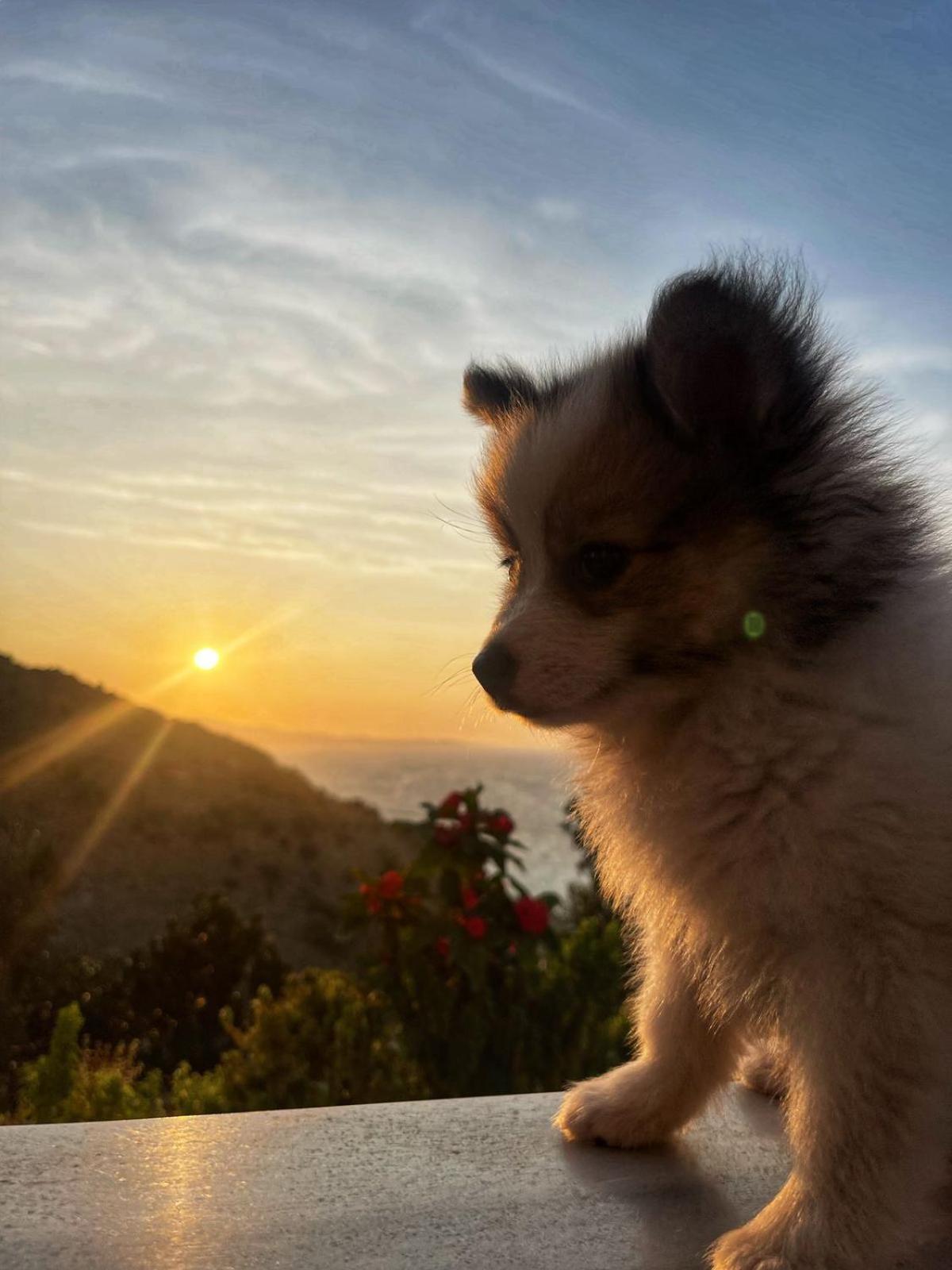 Vila Paza Saranda Dış mekan fotoğraf