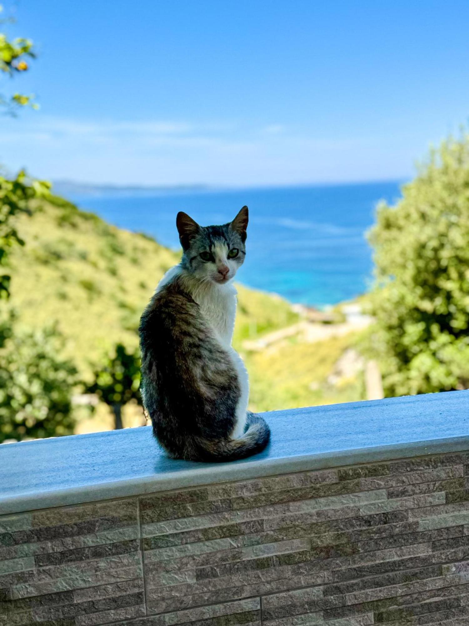 Vila Paza Saranda Dış mekan fotoğraf