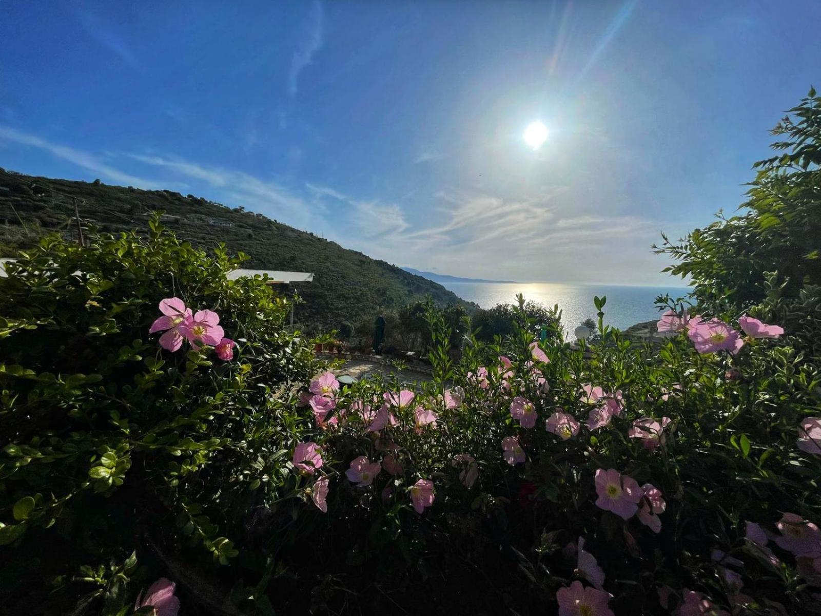 Vila Paza Saranda Dış mekan fotoğraf