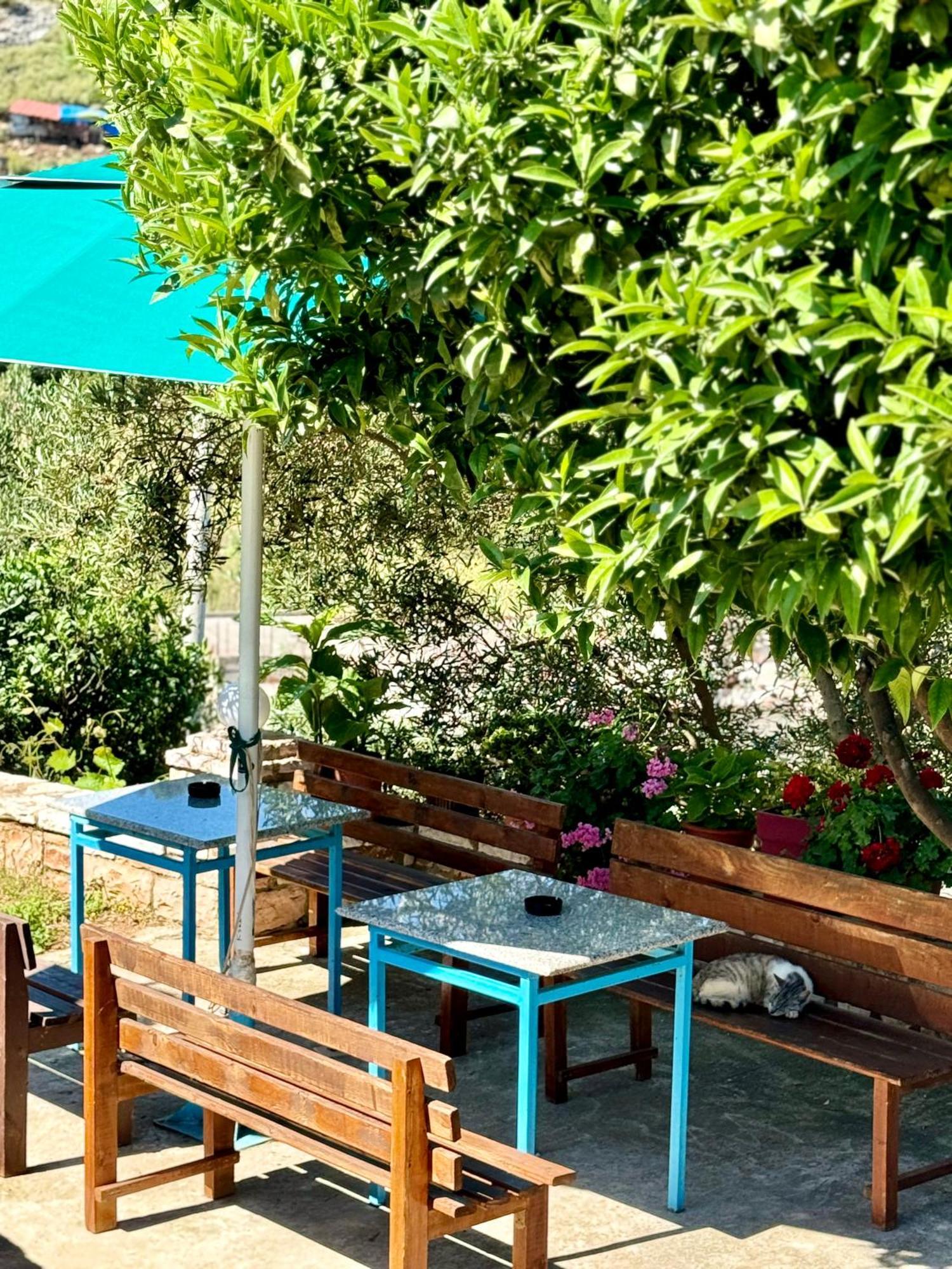 Vila Paza Saranda Dış mekan fotoğraf